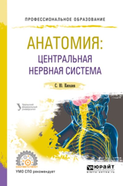 Обложка книги  «Анатомия: центральная нервная система. Учебное пособие для СПО»