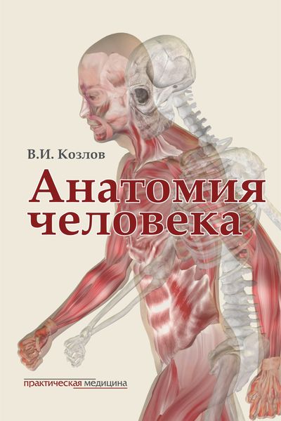 Обложка книги  «Анатомия человека. Учебник для медицинских вузов»