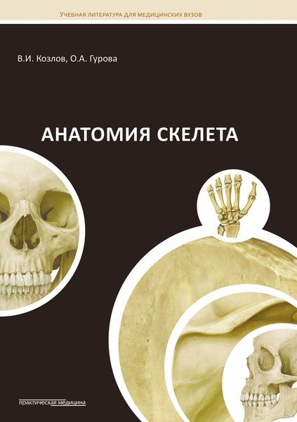 Обложка книги  «Анатомия скелета»