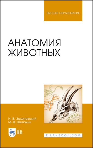 Обложка книги  «Анатомия животных»