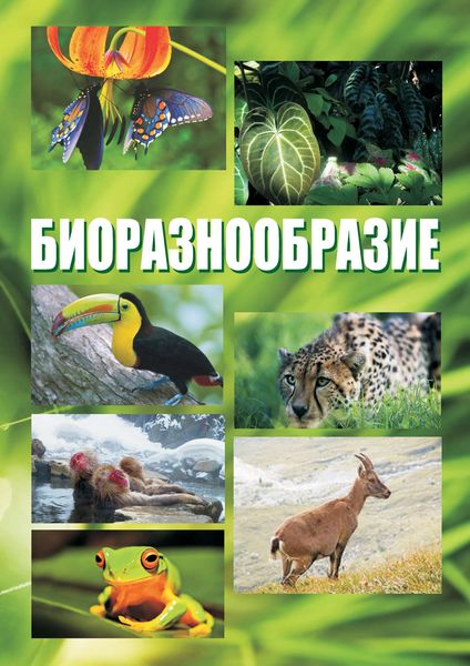 Обложка книги  «Биоразнообразие. Курс лекций»