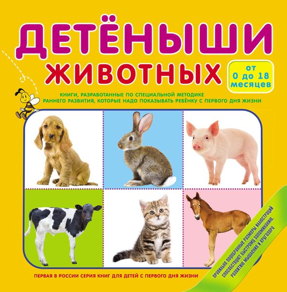 Обложка книги  «Детеныши животных»