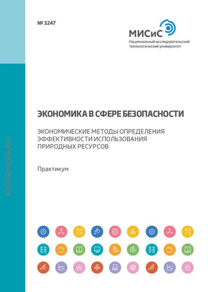 Обложка книги  «Экономика в сфере безопасности. Экономические методы определения эффективности использования природных ресурсов. Практикум»