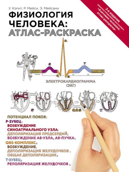 Обложка книги  «Физиология человека: атлас-раскраска»