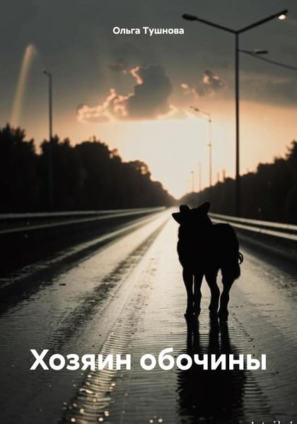 Обложка книги  «Хозяин обочины»