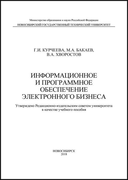 Обложка книги  «Информационное и программное обеспечение электронного бизнеса»