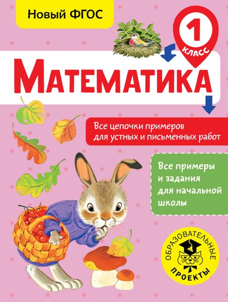 Обложка книги  «Математика. Все цепочки примеров для устных и письменных работ. 1 класс»
