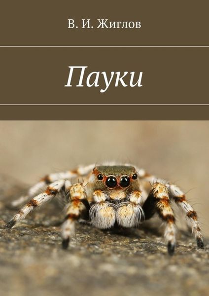 Обложка книги  «Пауки»