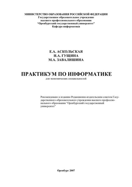 Обложка книги  «Практикум по информатике»