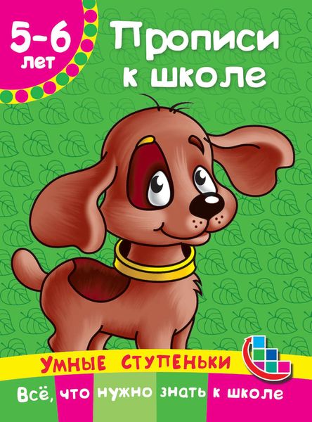 Обложка книги  «Прописи к школе»