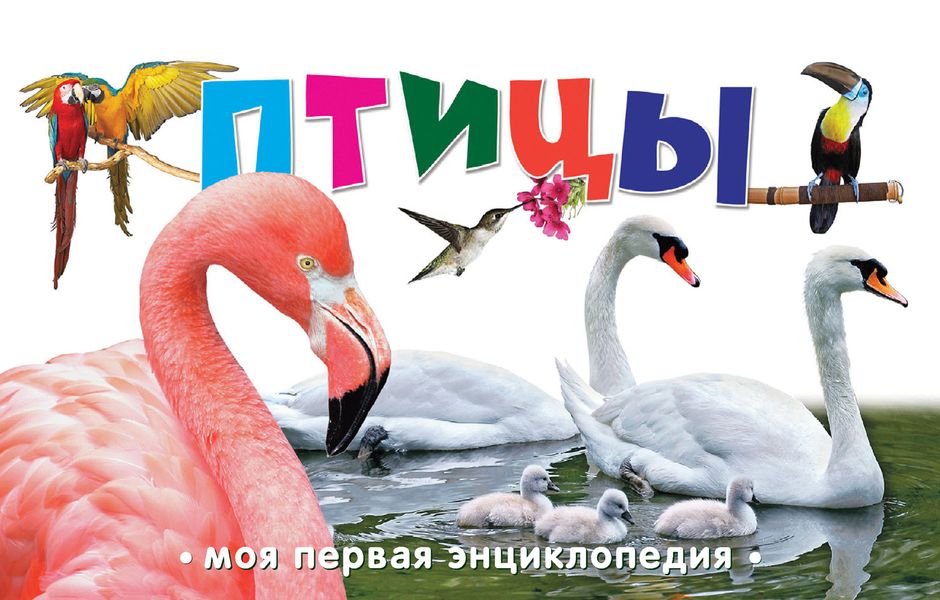 Обложка книги «Птицы»