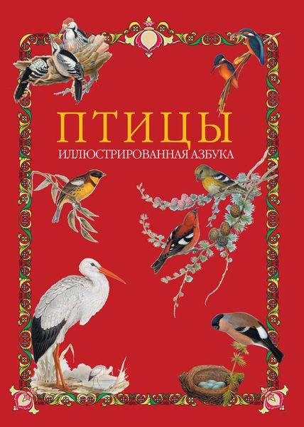 Обложка книги  «Птицы. Иллюстрированная азбука»