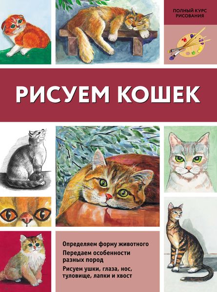 Обложка книги  «Рисуем кошек»