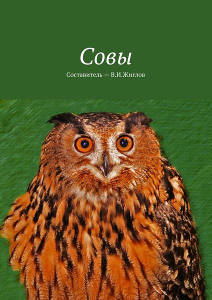 Обложка книги  «Совы»