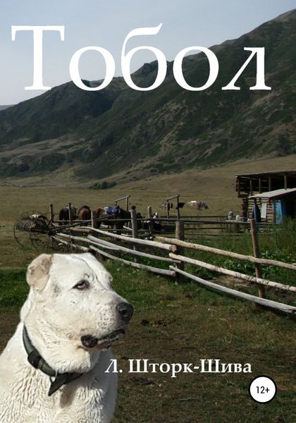 Обложка книги  «Тобол»