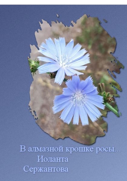 Обложка книги  «В алмазной крошке росы…»