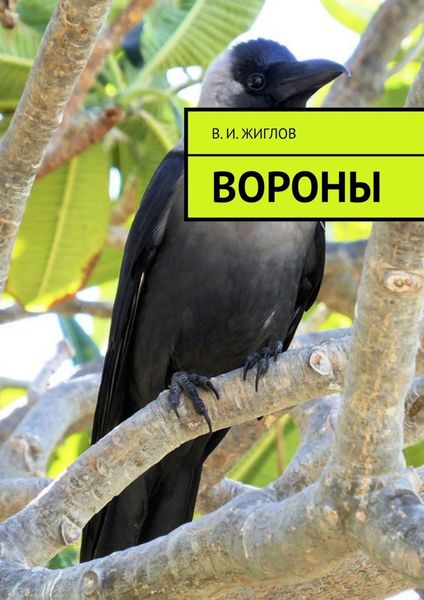 Обложка книги  «Вороны»
