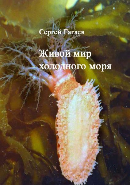 Обложка книги  «Живой мир холодного моря»