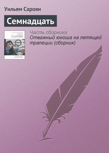 Обложка книги  «Семнадцать»