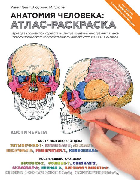 Обложка книги «Анатомия человека: атлас-раскраска»