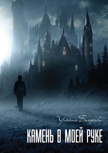 Обложка книги  «Камень в моей руке»
