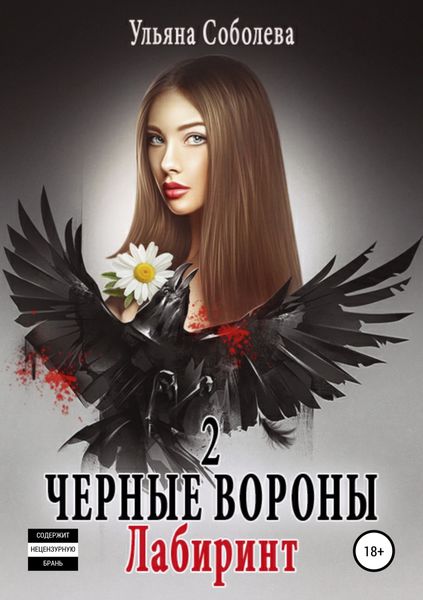 Обложка книги  «Черные вороны 2. Лабиринт»