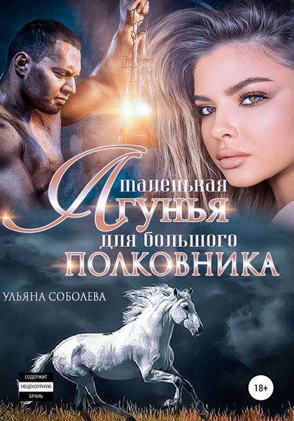 Обложка книги  «Маленькая лгунья для большого полковника»