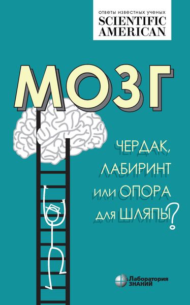 Обложка книги  «Мозг. Чердак, лабиринт или опора для шляпы?»