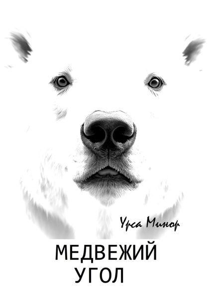 Обложка книги  «Медвежий угол»