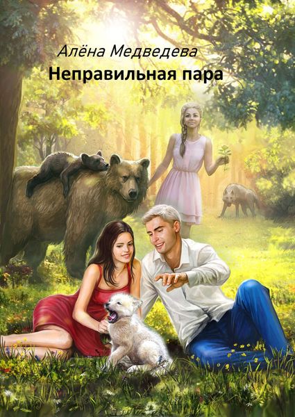 Обложка книги  «Неправильная пара»