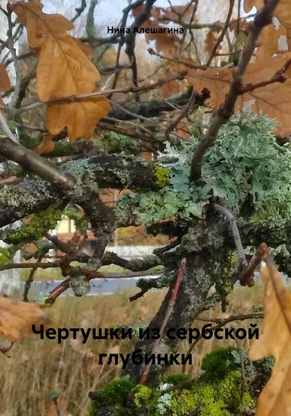 Обложка книги  «Чертушки из сербской глубинки»