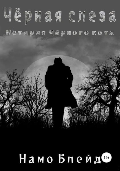 Обложка книги  «Чёрная слеза. История чёрного кота»