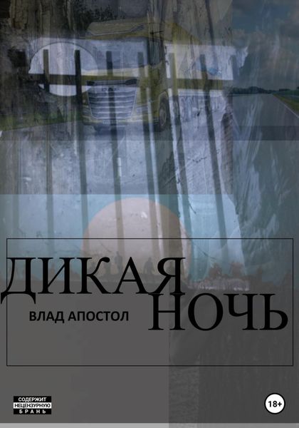 Обложка книги  «Дикая ночь»
