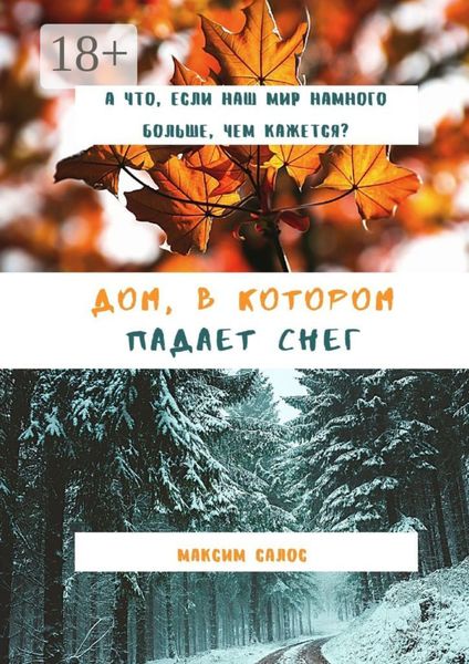 Обложка книги  «Дом, в котором падает снег»