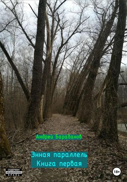 Обложка книги  «Энная параллель»