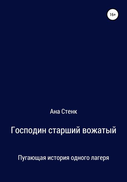 Обложка книги  «Господин старший вожатый»