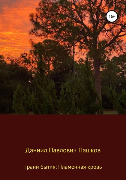 Обложка книги  «Грани бытия: Пламенная кровь»
