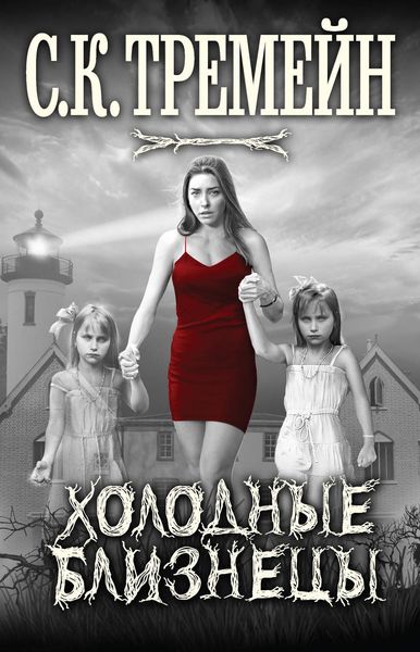 Обложка книги  «Холодные близнецы»