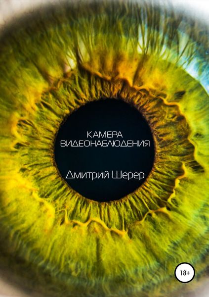 Обложка книги  «Камера видеонаблюдения»