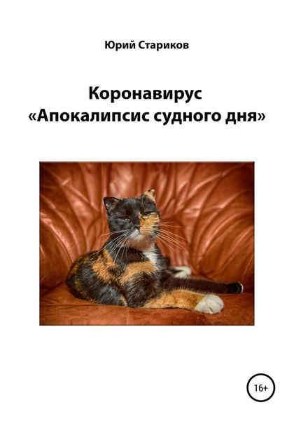 Обложка книги  «Коронавирус. «Апокалипсис судного дня»»