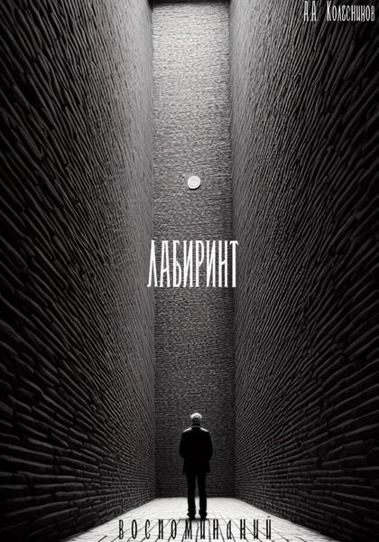 Обложка книги  «Лабиринт воспоминаний»