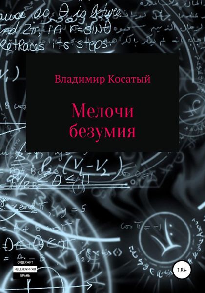Обложка книги  «Мелочи безумия»
