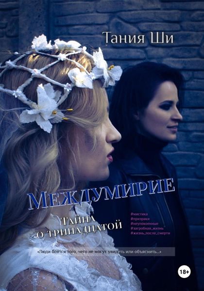 Обложка книги  «Междумирие. Тайна о тринадцатой»