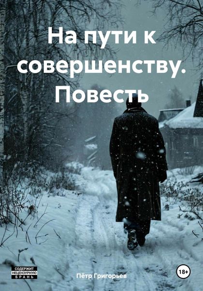Обложка книги  «На пути к совершенству. Повесть»