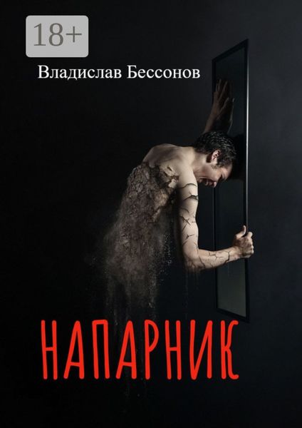 Обложка книги  «Напарник»