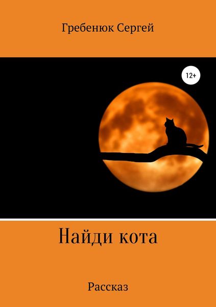 Обложка книги  «Найди кота»