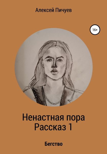 Обложка книги  «Ненастная пора. Часть 1»