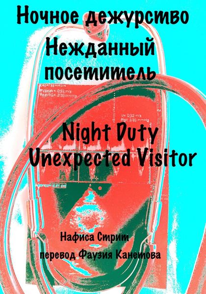 Обложка книги  «Ночное дежурство»