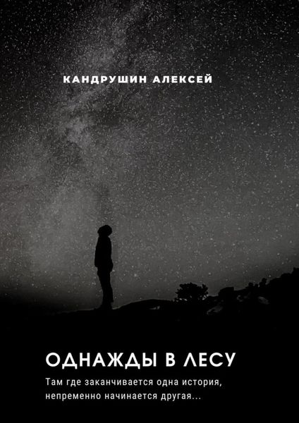Обложка книги  «Однажды в лесу. Там где начинается одна история, непременно начинается другая…»
