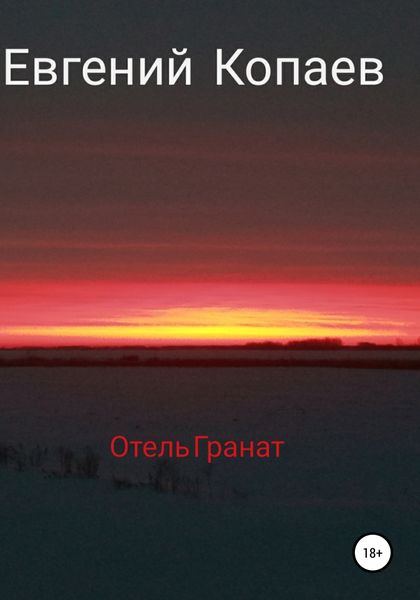 Обложка книги «Отель Гранат»